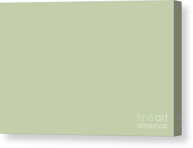 Green Canvas Print featuring the digital art Pratt and Lambert 2019 Mellon Green - Sage Green 18-28 Solid Color by PIPA Fine Art - Simply Solid