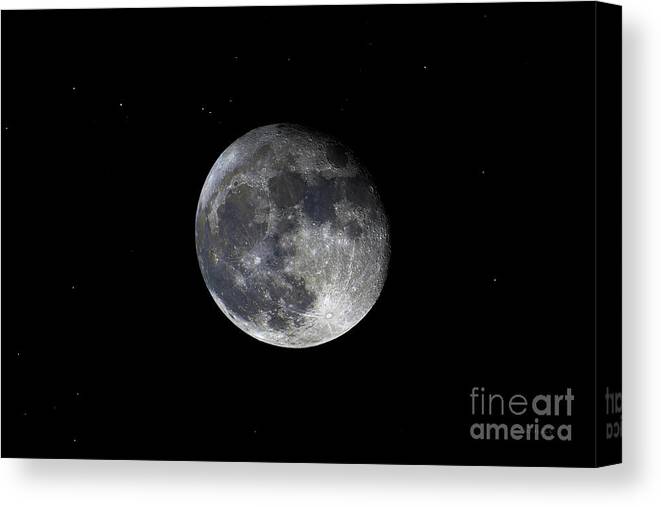 Bloodred Wolf Moon Canvas Print featuring the photograph Pre Blood Red Wolf Supermoon Eclipse 873A by Ricardos Creations