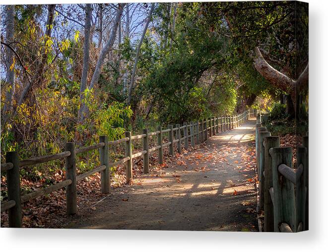 Path Canvas Print featuring the photograph Pretty Path by Alison Frank