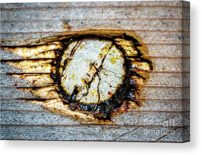Wood Canvas Print featuring the photograph Propolis by Shawn Jeffries