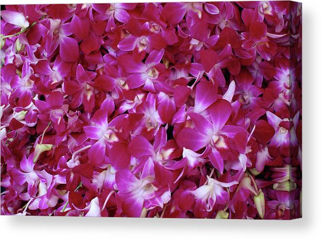 Southeast Asia Canvas Print featuring the photograph Purple Orchids For Sale At Pak Khlong by Lonely Planet