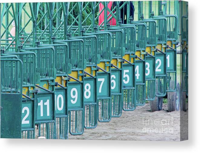 Horse Canvas Print featuring the photograph Racecourse Thailand by Suwatwongkham