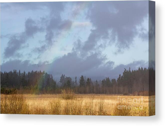 Field Canvas Print featuring the digital art Rainbow Meadow by Jean OKeeffe Macro Abundance Art