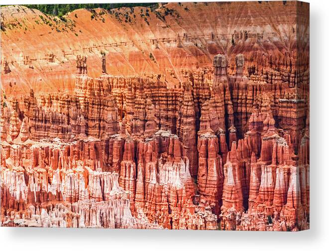 Hoodoo Canvas Print featuring the photograph Red and White Hoodoos by Douglas Wielfaert