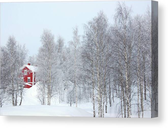 Snow Canvas Print featuring the photograph Red House In Winter by Sbossert