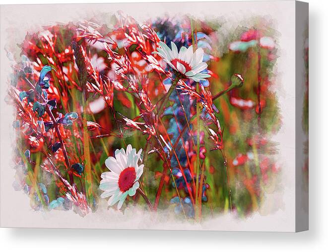 Red Wildflowers Canvas Print featuring the digital art Red Motives by Alex Mir