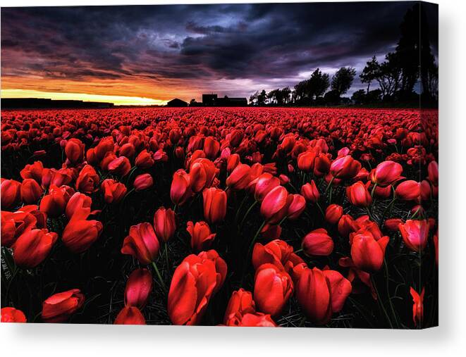 Landscape Canvas Print featuring the photograph Red passion by Jorge Maia