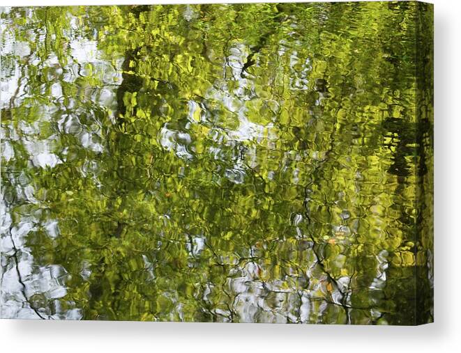 Monet Canvas Print featuring the photograph Reflections of Monet by T Lynn Dodsworth