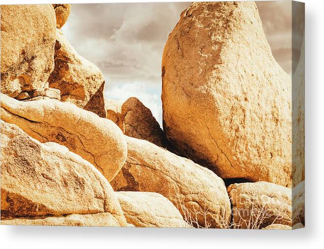Top Artist Canvas Print featuring the photograph Spring Boulders Joshua Tree 7443 by Amyn Nasser Photographer