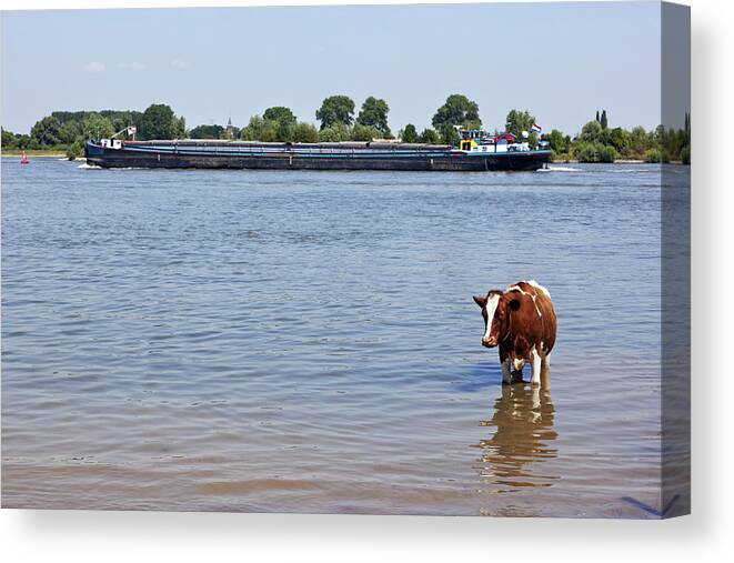 Freight Transportation Canvas Print featuring the photograph River Waal, The Netherlands by Lya cattel