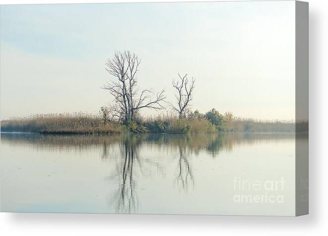 Delta Canvas Print featuring the photograph River With Tree Reflected In The Delta by Vadim Petrakov