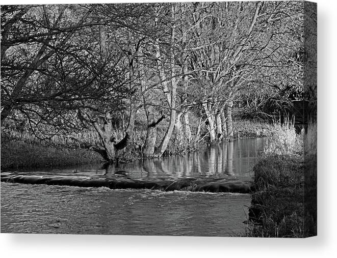 Britain Canvas Print featuring the photograph Riverside Trees - Wolfscote Dale by Rod Johnson