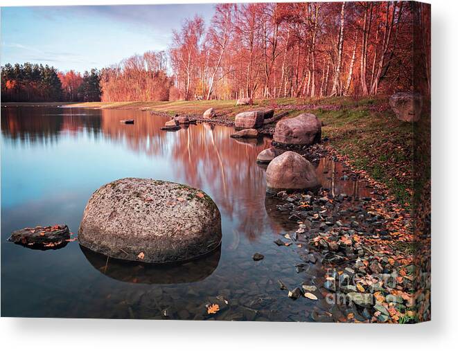 Rock Canvas Print featuring the photograph Rocks in forest pond by Sophie McAulay