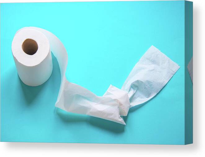 Roll Of Toilet Paper With A Knot Canvas Print / Canvas Art by Maria Galan -  Fine Art America