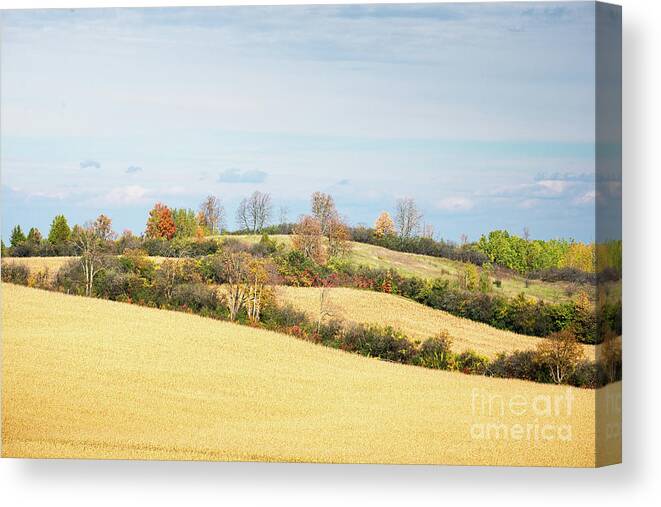 Fields Canvas Print featuring the photograph Rolling Hills In Fall by Les Palenik