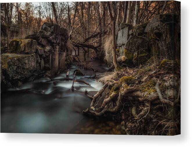 Roots
Water
Flow
Tree
Trees
Sweden Canvas Print featuring the photograph Roots by Benny Pettersson