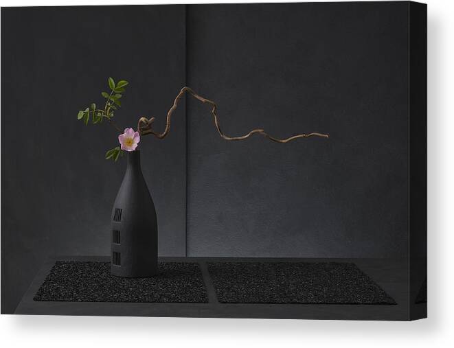 Ikebana Canvas Print featuring the photograph Rosa Canina by Christophe Verot