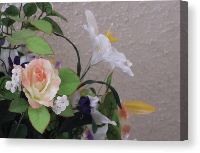 Rose Canvas Print featuring the photograph Rose Among Others by C Winslow Shafer