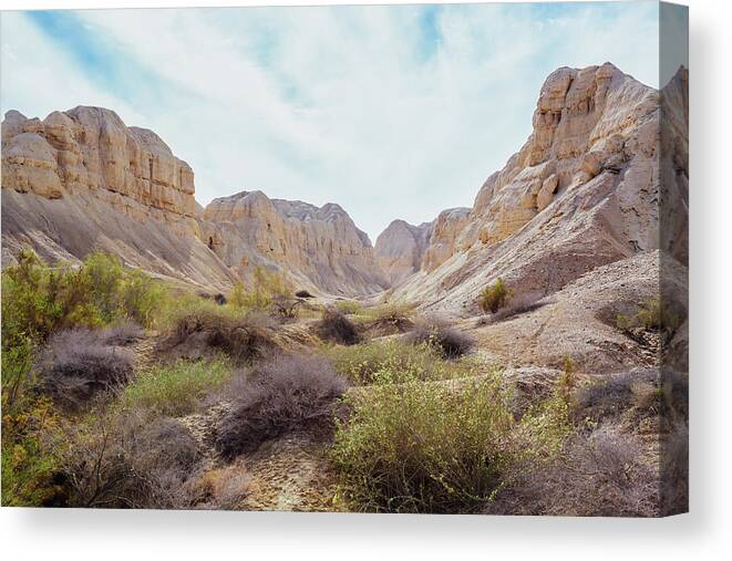 Extreme Terrain Canvas Print featuring the photograph Rugged Landscape In The Wilderness Of by Reynold Mainse / Design Pics