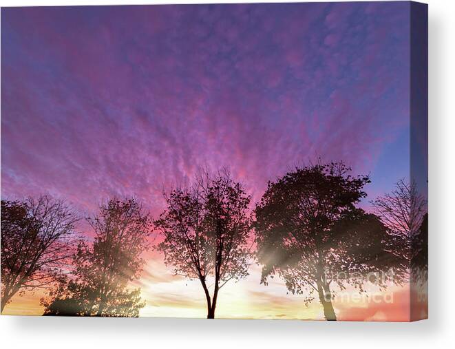 Alone Canvas Print featuring the photograph Rural purple sunset over winter trees by Simon Bratt