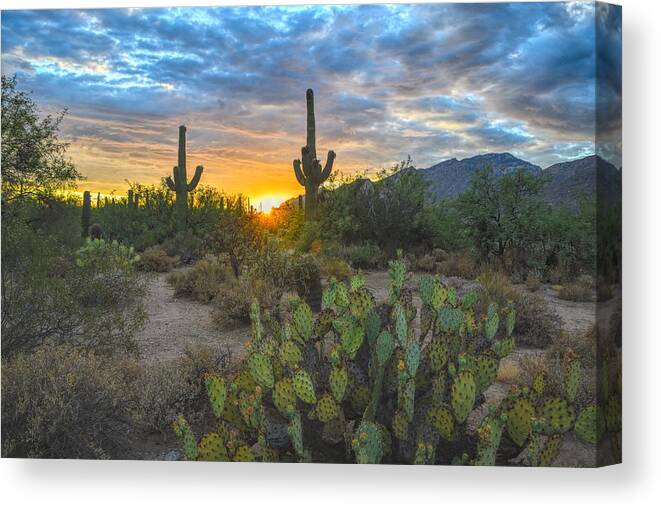 Sonoran Desert Canvas Print featuring the photograph Sabino Canyon and Mount Kimball Sunset, Tucson, AZ by Chance Kafka