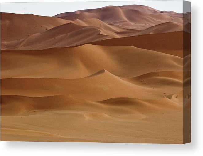 Scenics Canvas Print featuring the photograph Sahara Desert by Giampaolo Cianella