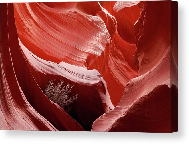 Antelope Canyon Canvas Print featuring the photograph Sandstone Cliff Walls In Slot Canyon by Martin Ruegner