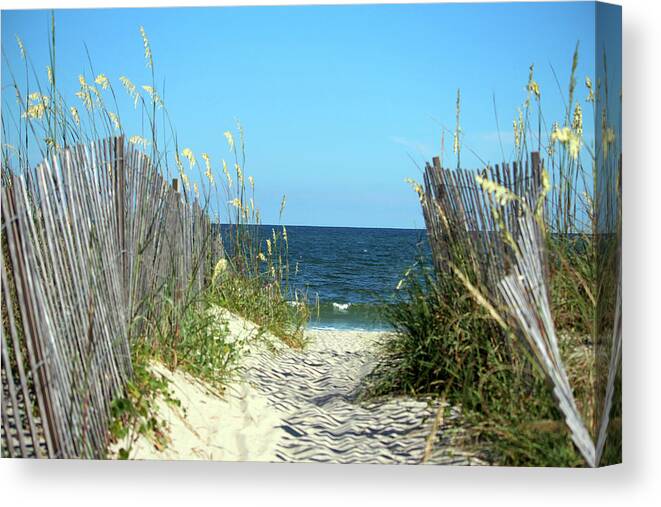 Ocean Canvas Print featuring the photograph Sandy Path To The Sea by Cynthia Guinn