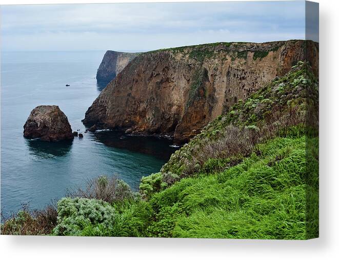 Channel Islands National Park Canvas Print featuring the photograph Santa Cruz Island Bluff Trail by Kyle Hanson