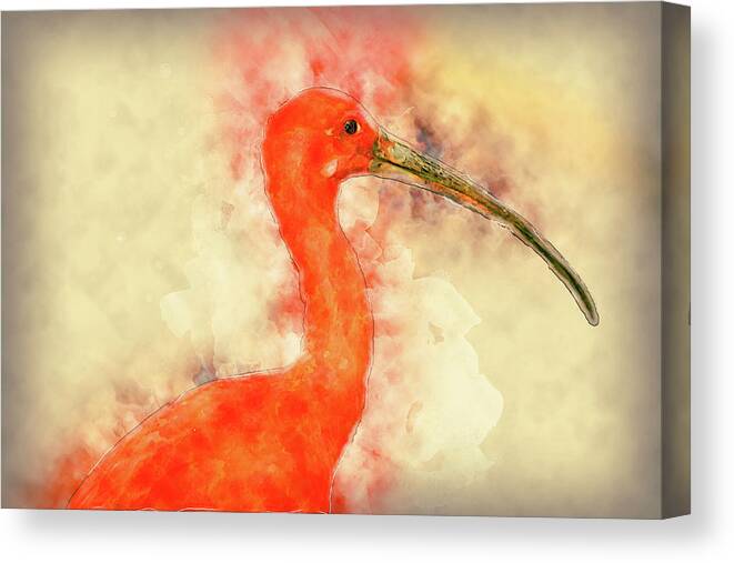 Scarlet Ibis Canvas Print featuring the digital art Scarlet Ibis by Pheasant Run Gallery
