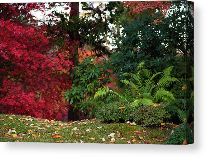 Jenny Rainbow Fine Art Photography Canvas Print featuring the photograph Scarlet Red and Emerald Green in Japanese Garden 1 by Jenny Rainbow