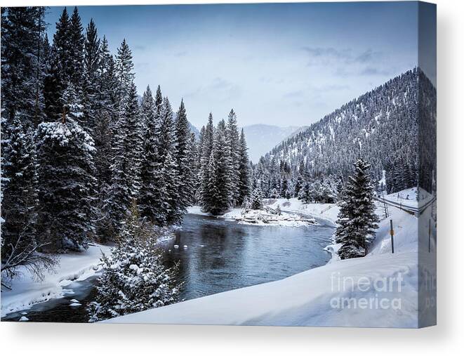Timothy Hacker Canvas Print featuring the photograph Scenic Yellowstone In Winter by Timothy Hacker