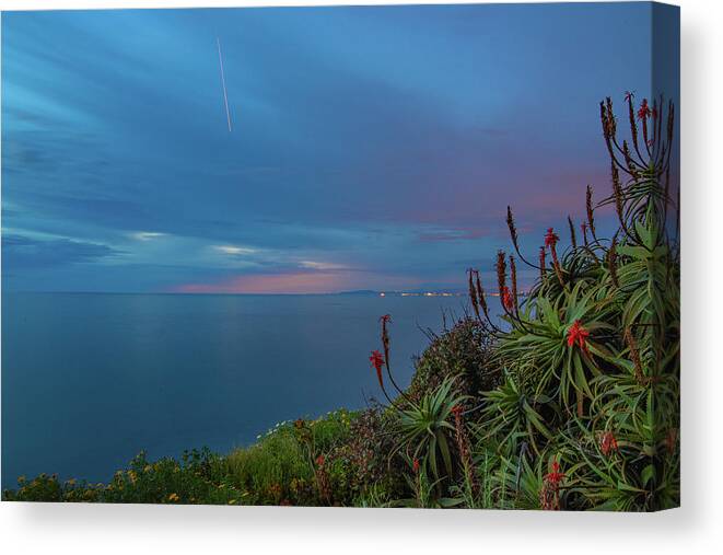 Scripps Institute Canvas Print featuring the photograph Scripps Trail Overlook by Local Snaps Photography
