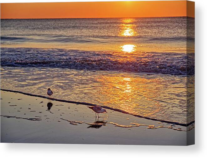 Seagulls Sunrise Beach Ga Georgia Tybee Waves Water Ocean Canvas Print featuring the photograph Seagull Sunrise - Tybee Island Beach sunrise by Peter Herman
