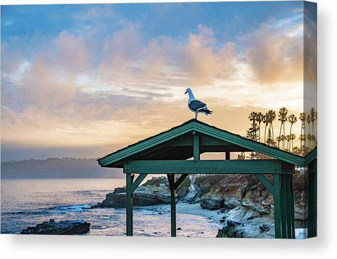 Local Snaps Photography Canvas Print featuring the photograph Seagull welcomes the day by Local Snaps Photography