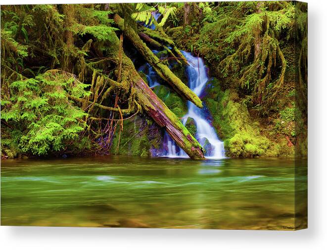 Deebrowningphotography.com Canvas Print featuring the photograph Seasonal Runoff by Dee Browning