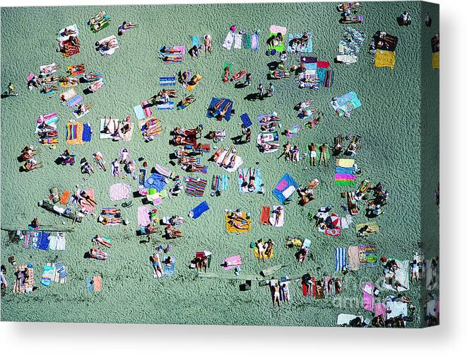 Sunbathing Canvas Print featuring the photograph Seattle Beach, Washington, Usa by Sunset Avenue Productions