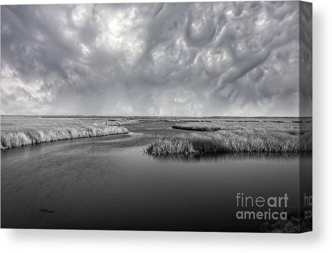 Landscape Canvas Print featuring the photograph Serenity Before The Storm by DB Hayes