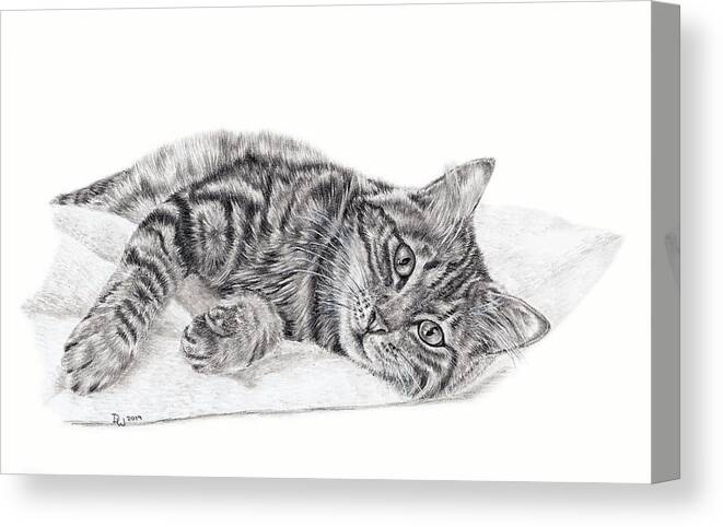 Pencil Canvas Print featuring the drawing Shadow by Pencil Paws