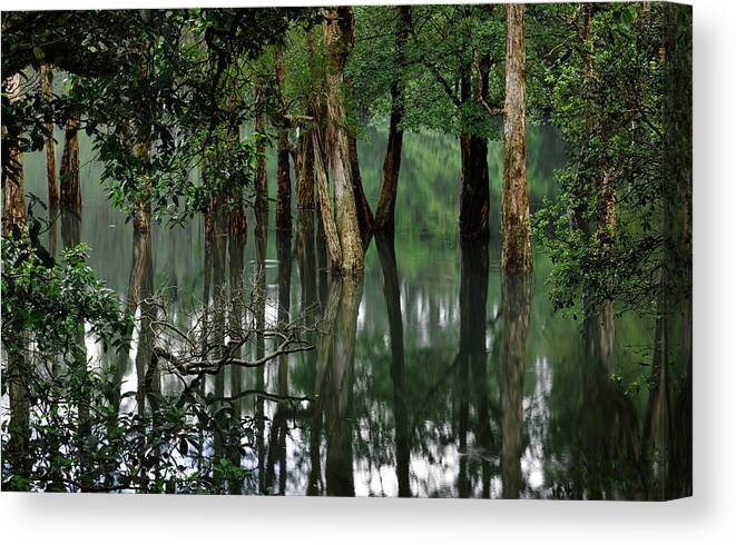 Tranquility Canvas Print featuring the photograph Shing Mum Reservior by Wilbur Law