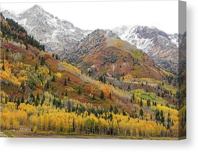 Utah Canvas Print featuring the photograph Silver Lake Flat with Fall Colors - American Fork Canyon, Utah by Brett Pelletier