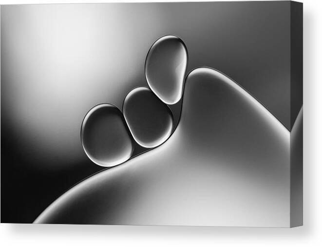 Graphic Canvas Print featuring the photograph Silvery Shapes by Jacqueline Hammer