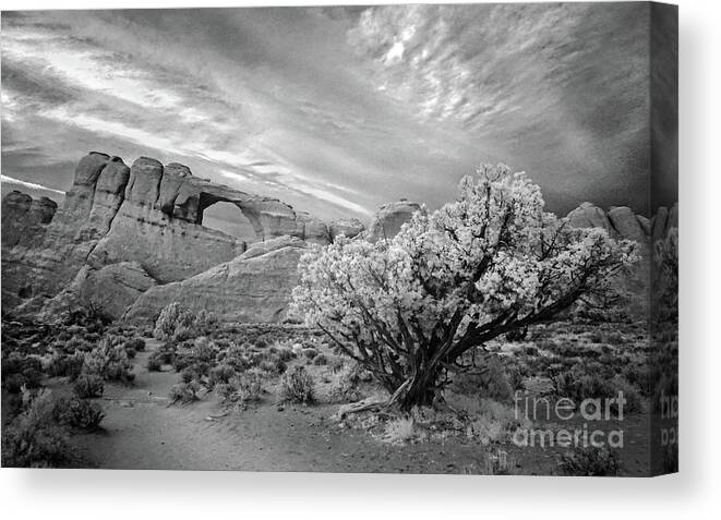 Arc Canvas Print featuring the photograph Skyline Arch by Martin Konopacki