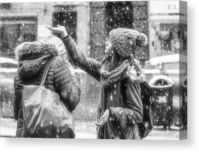 Snow Canvas Print featuring the photograph Snow Falling On The Palm by Eiji Yamamoto