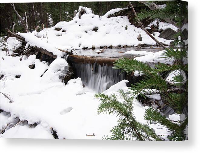 Waterfall Canvas Print featuring the photograph Snow Waterfall by Dmdcreative Photography