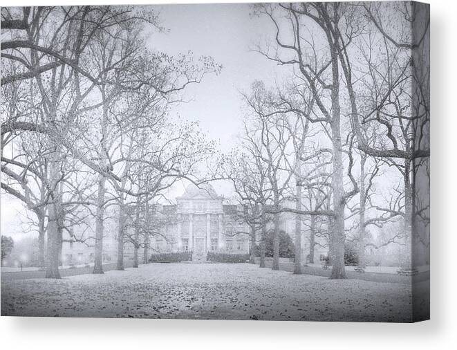 New York Botanical Gardens Canvas Print featuring the photograph Snowfall at the NYBG by Mark Andrew Thomas