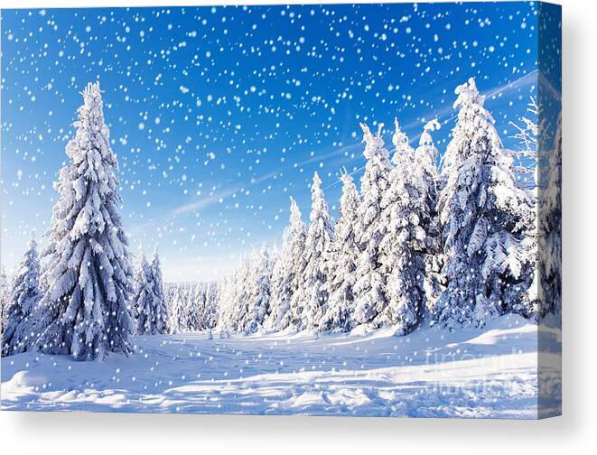 Forest Canvas Print featuring the photograph Snowfall In Amazing Winter Landscape by Jenny Sturm