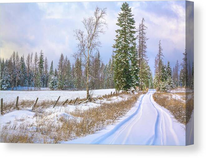 Scenics Canvas Print featuring the photograph Snowy Country Lane In Rural Northern by Dszc