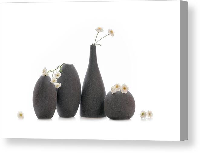 Flowers Canvas Print featuring the photograph Snowy Flowers by Lydia Jacobs