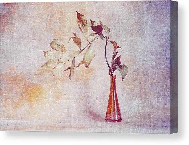 Still-life Canvas Print featuring the photograph Soft by iek K?ral